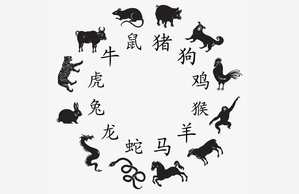 六害婚姻最害的一组妻儿损害人什么意思