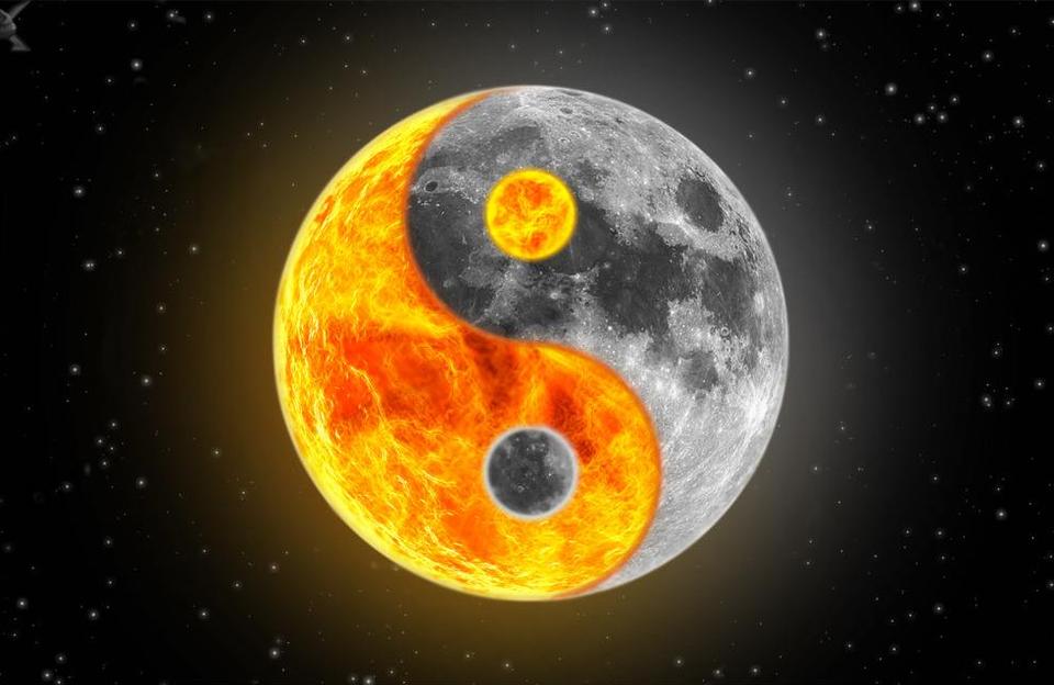 生肖与星座运势2019你认为十二生肖分别象征着什么