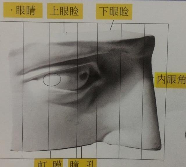 眼睛看相算命图解-看K线的大误区是什么