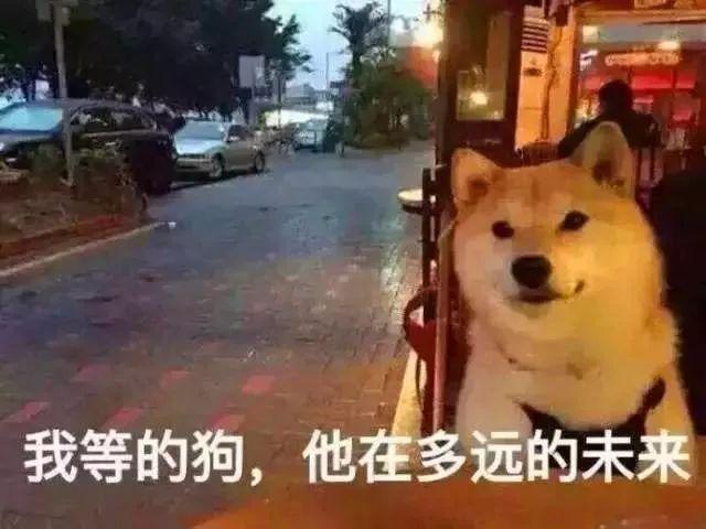 算命适合武职-李守贞起兵造反缘于道士预言