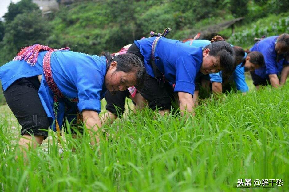 算命中小富之命指什么-碰不到大财富你怎么看