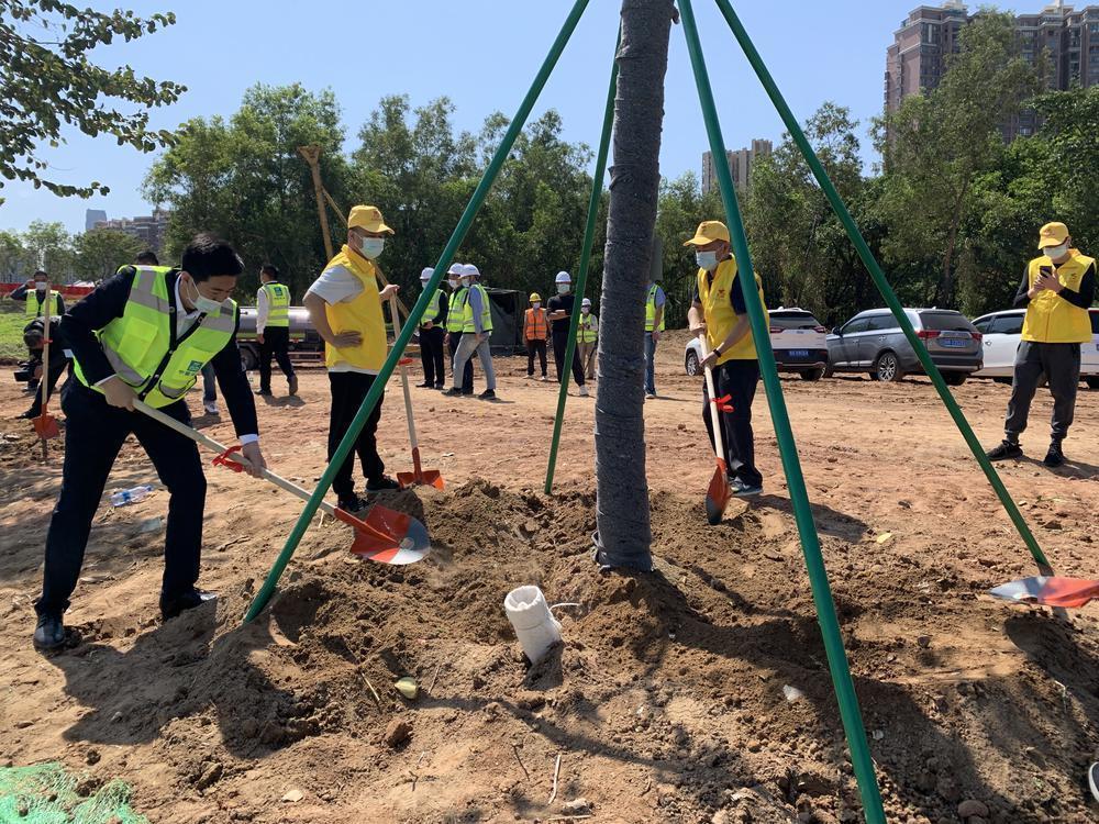 2023植树节出生的男孩名字怎么取-深圳有哪些可以在周末去逛逛的免费景点