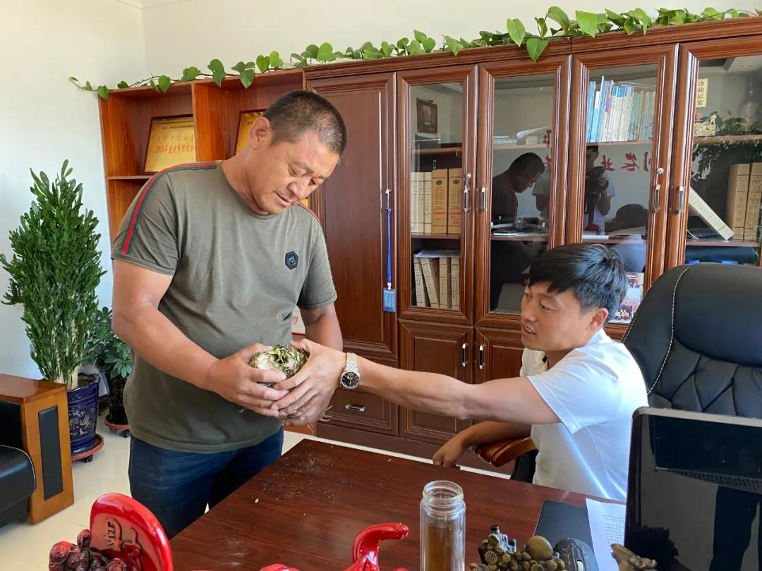 紫薇斗数事业宫在为未-事业单位到底是什么意思