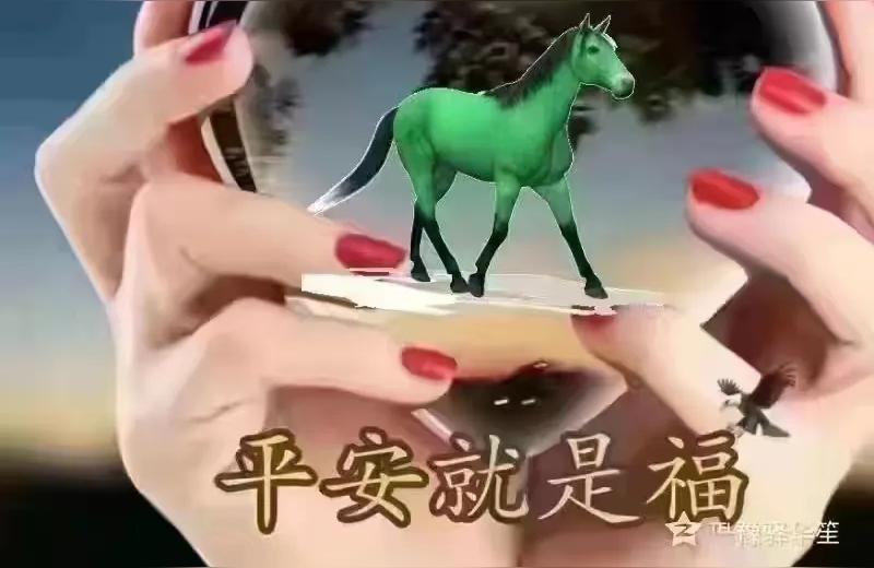 辰酉亥三刑依次子丑寅卯辰巳午未申酉戌亥别的不用