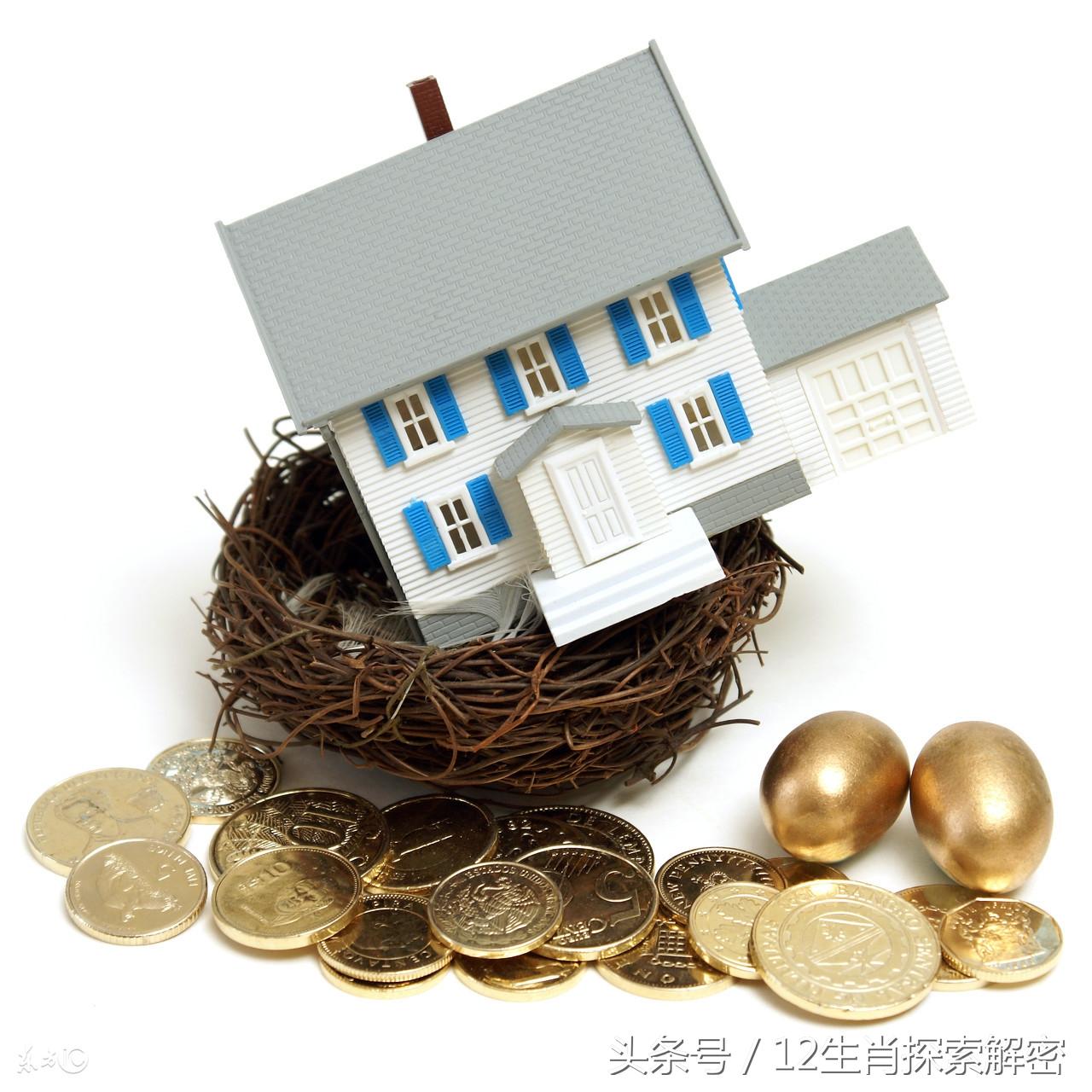 生财有道：家居招财的植物有哪些-福建泉州人为什么那么有钱