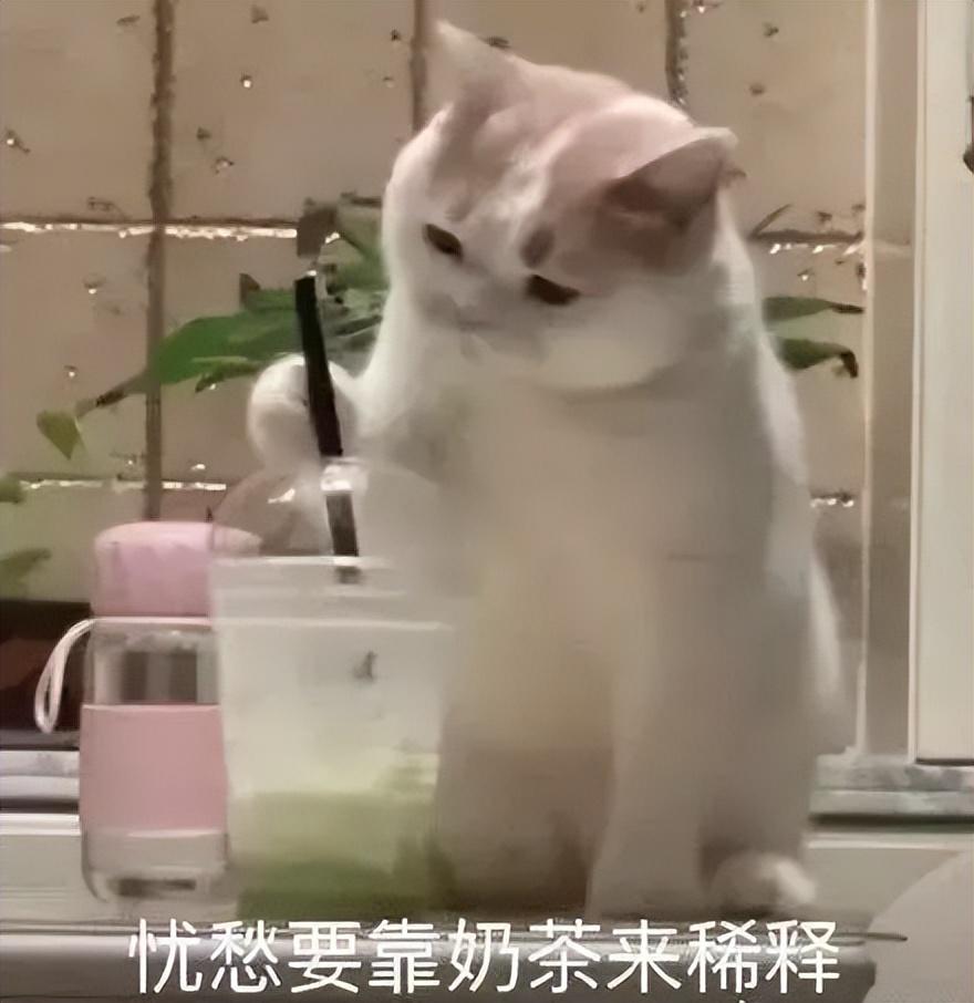 算命分数越-高三考试一次比一次差