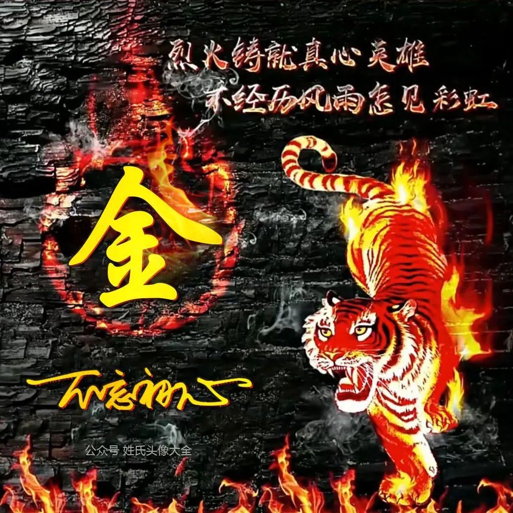 2022虎年出生的金姓女宝宝怎样取名字 高级的起名大全-2022最洋气女孩名