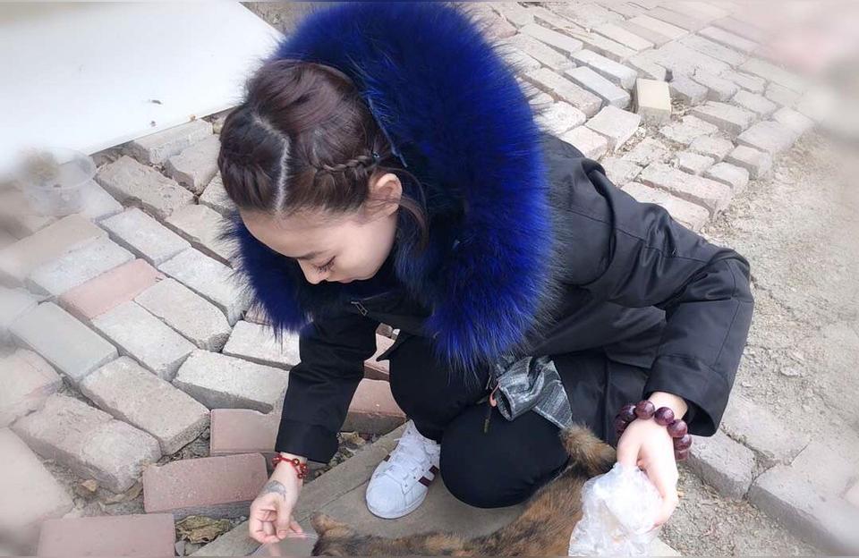 播放十二星座本周运势神秘的天蝎座为什么让人心动