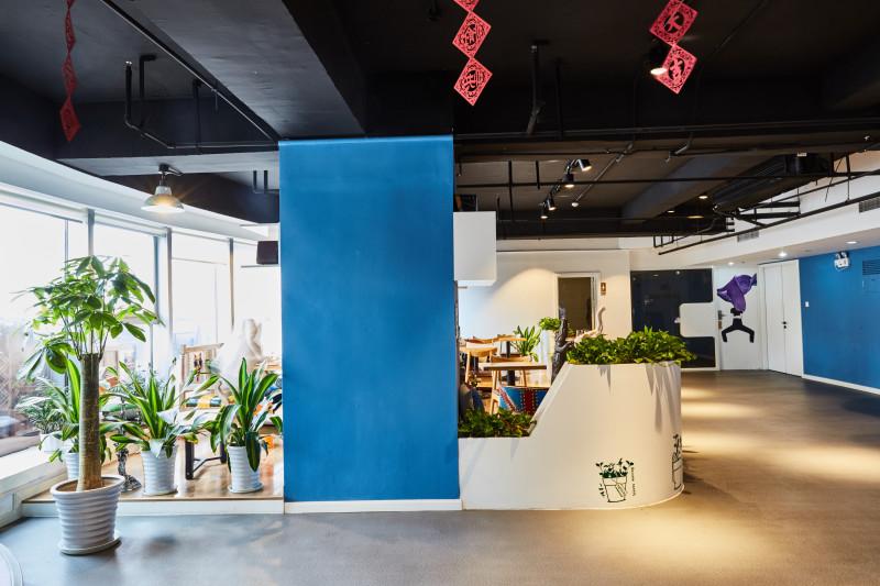 店铺放什么植物旺财 店内不宜摆放过大绿植-店里除了摆暴力熊还摆什么好