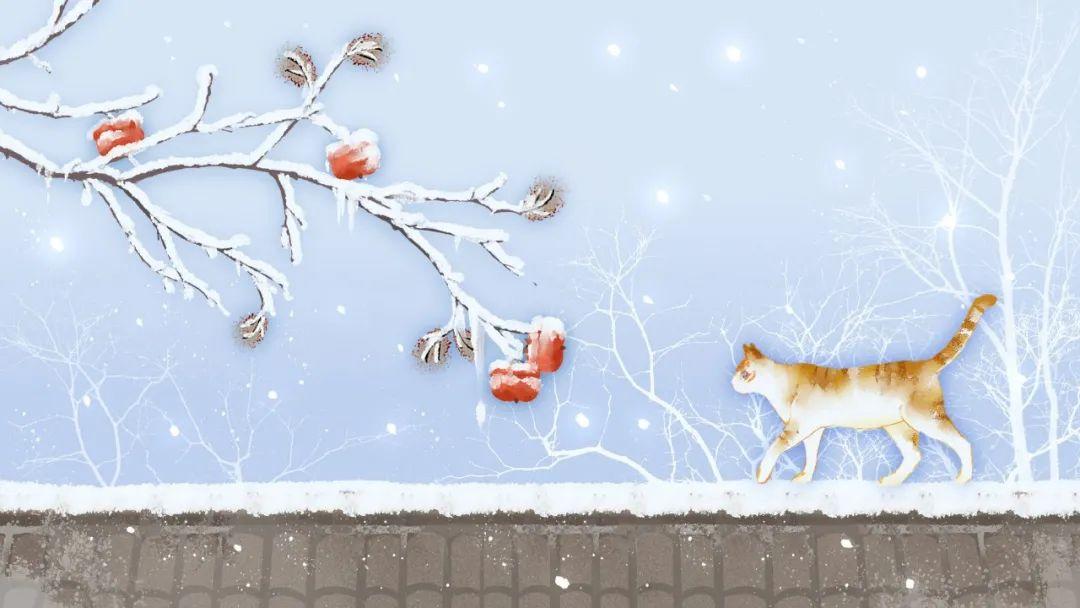 星座感情运势查询表-好像情侣的事情都做了