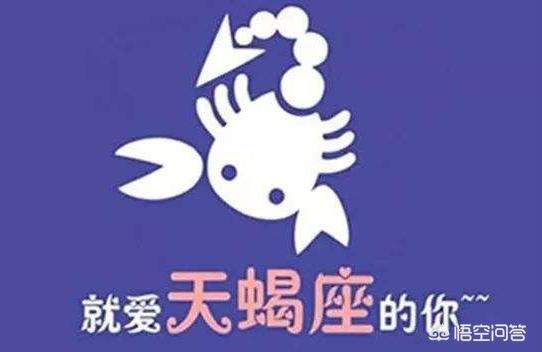 十二星座恋情运势十二星座的人对爱情的态度都是什么样的