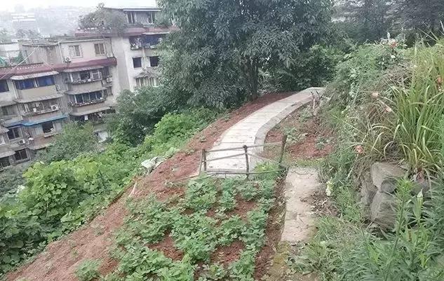 看坟地怎么看出好风水-坟地中什么叫神路