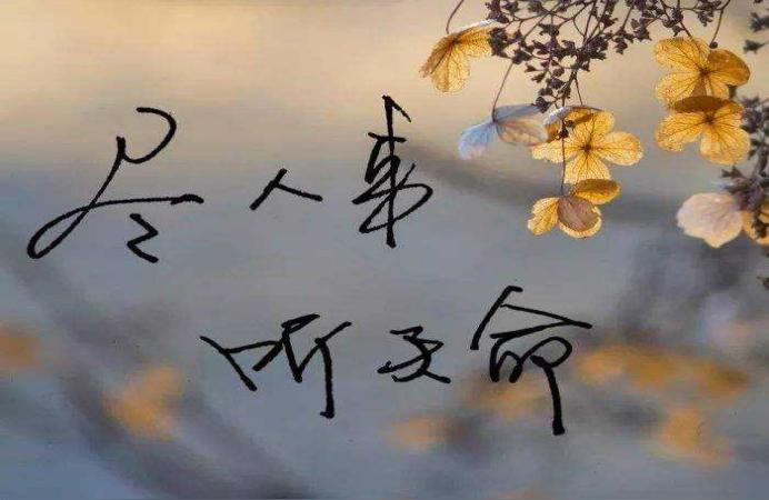 老梁揭秘算命梁左的算命故事是真的吗