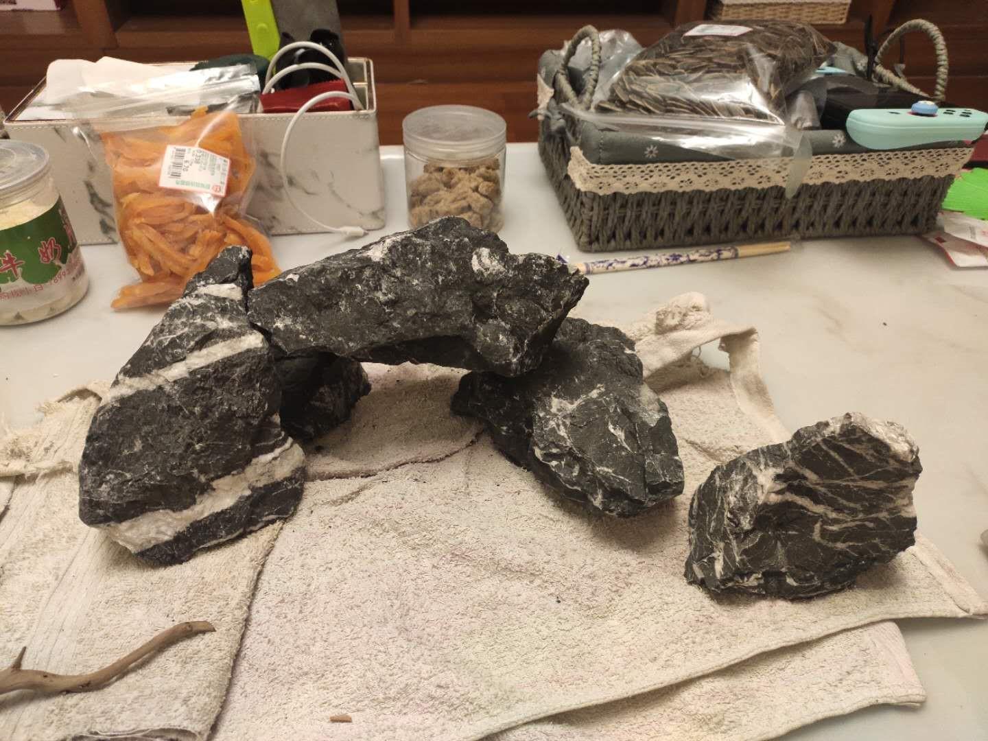 家居养鱼风水方位在哪？-家里放鱼缸养鱼最佳位置