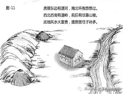 风水坟墓四周有什么不好-坟地最怕哪种植物
