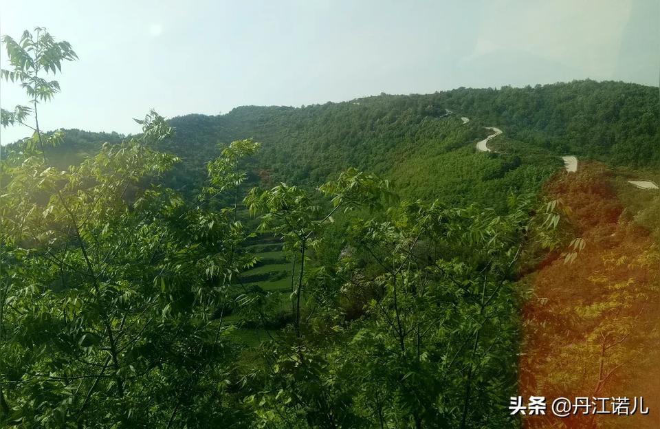 紫薇斗数怎么解读现在的年轻人信命是无能