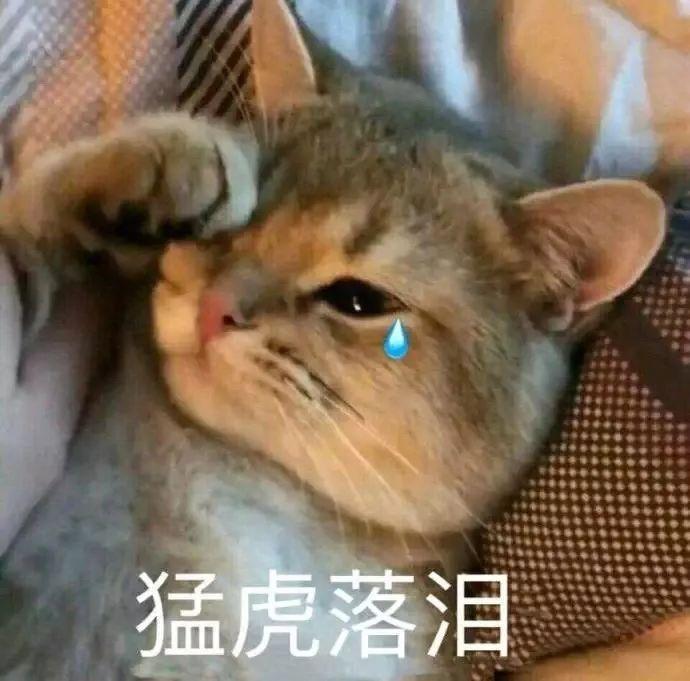 免费算命运势-华夏免费版怎么弄五行