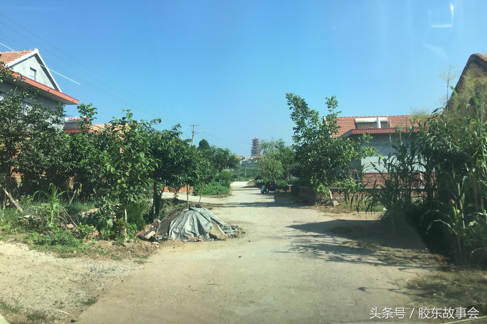 威海姓李算命小伙-山东一带老虎会这么多吗