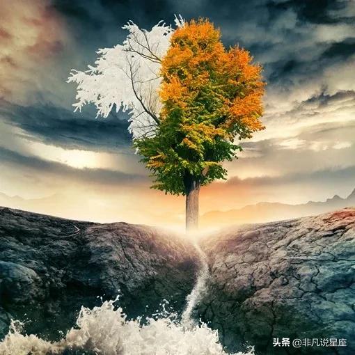罗伯星座每周运势2018-你们觉得最好看的系列电影是什么电影