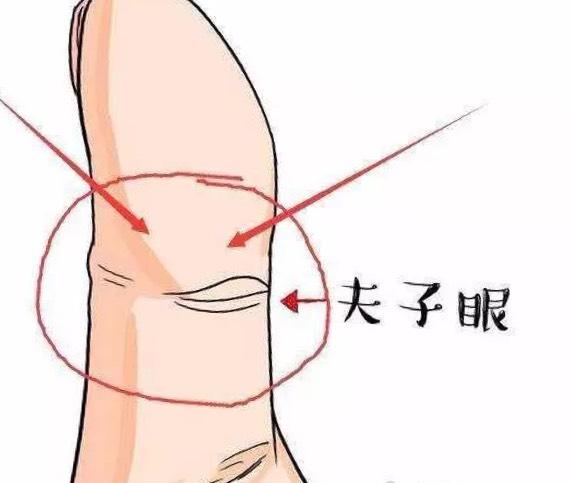 如何计算命格-天地人格总数字是133是什么意思