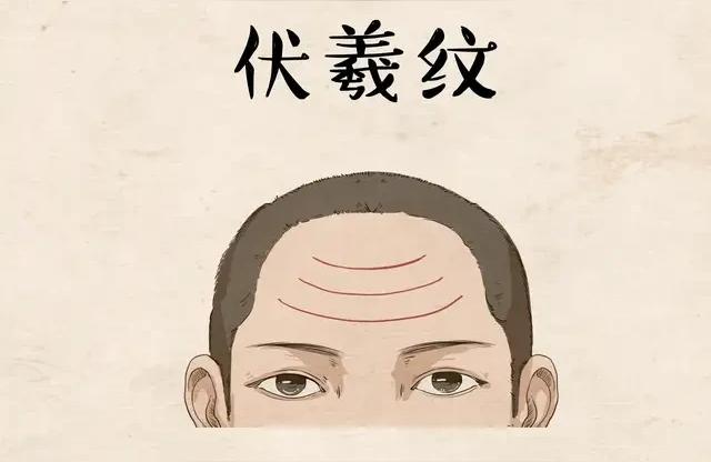 看相额头纹算命图解-抬头纹是天柱纹吗