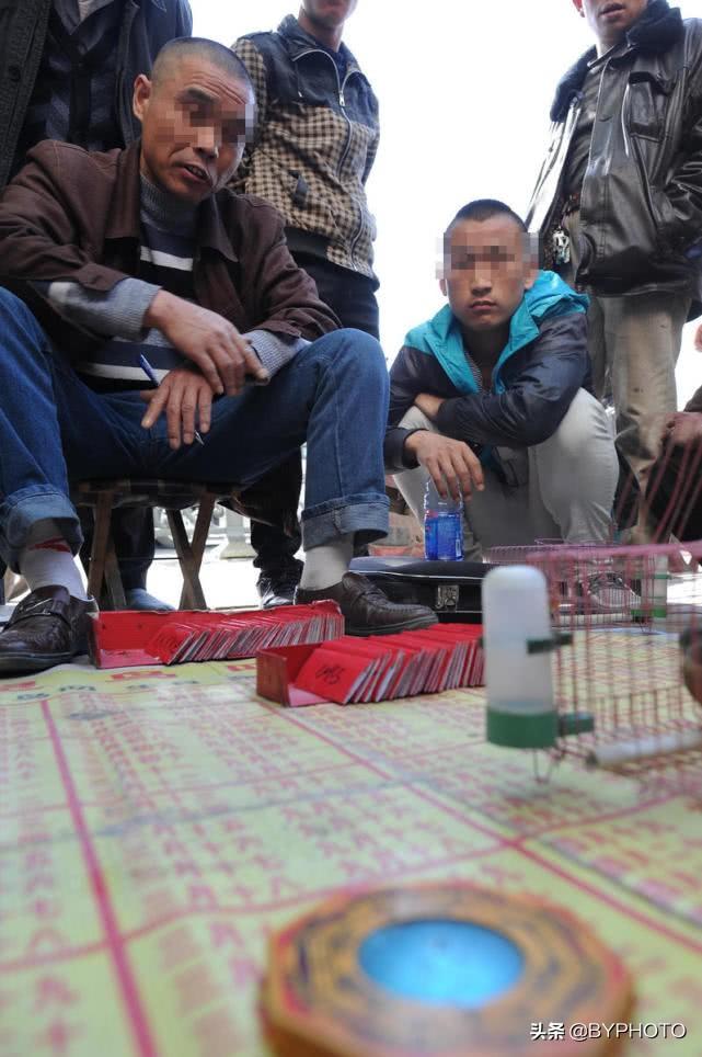 姓名算命游戏-算命是排盘游戏吗