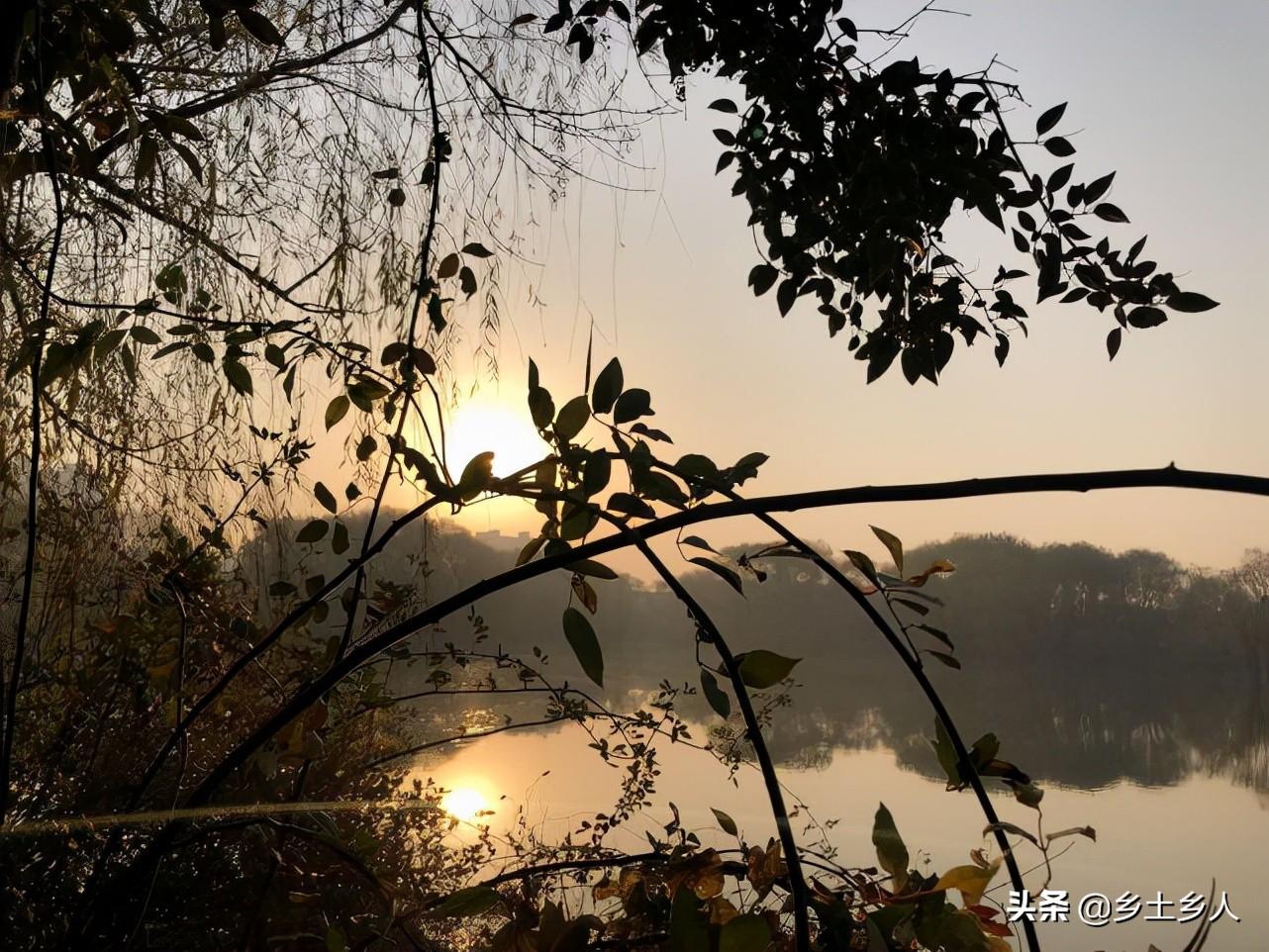庚午见丙午-我是丁巳年丙午月己亥日庚午时生