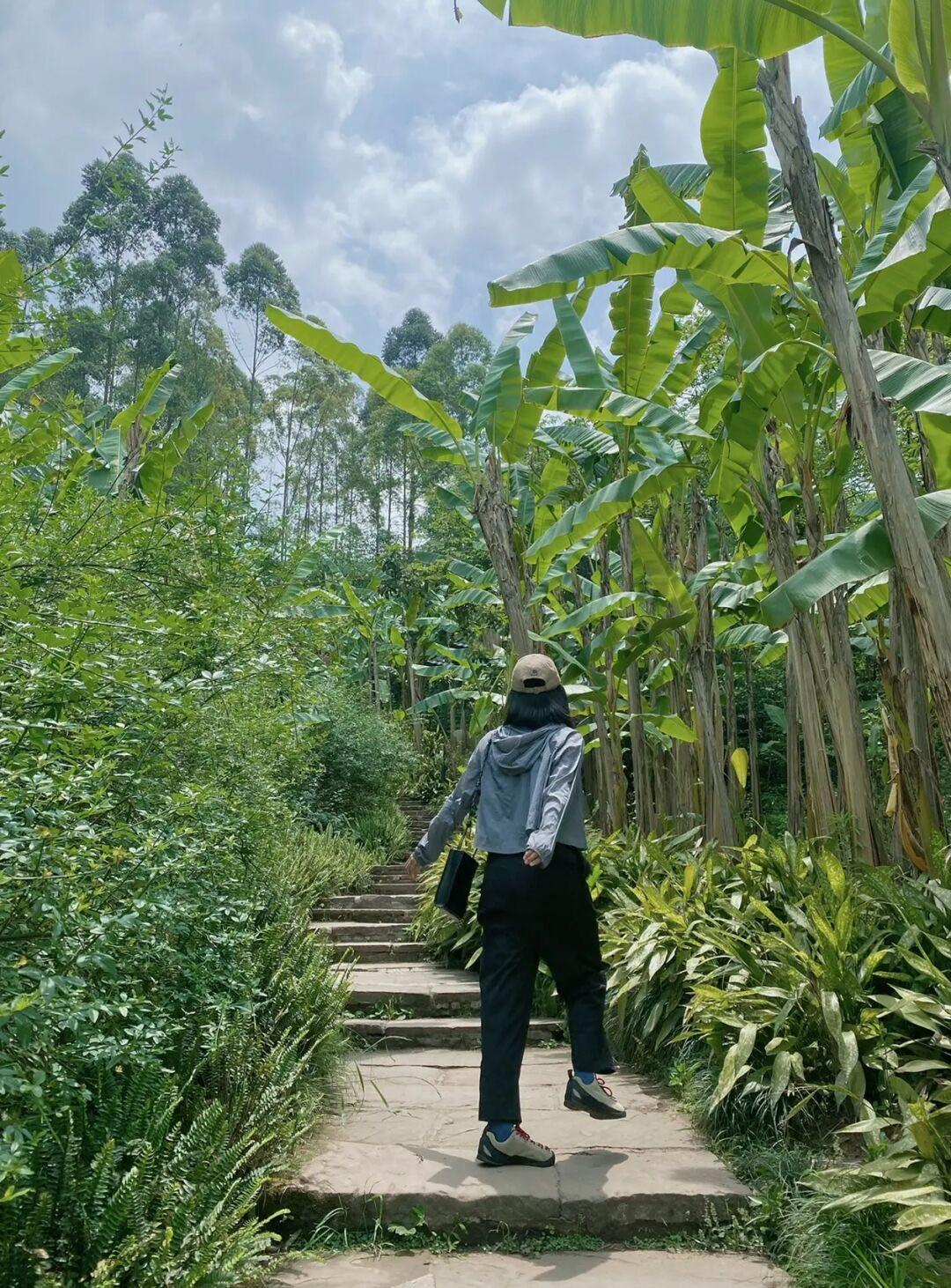 免费算命大运-有没有晚上可以赚钱的兼职工作