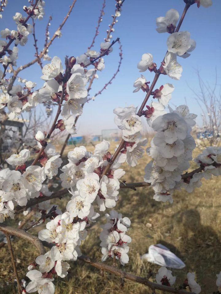今年运气不好怎么破解 没有财运的人怎样转运-运气太差