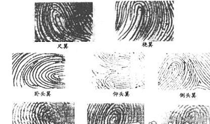 手指指纹算命图解-为什么指纹被毁后还能长回原样