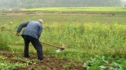 干支是啥-谁知道天干和地支都是哪些