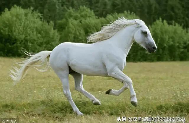 巳亥冲驿马壬戌年丁未月乙卯日庚辰时生人在什么年能有驿马星