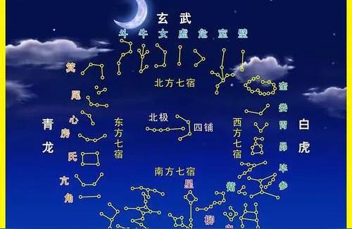 青龙紫薇斗数青龙凤凰代表什么