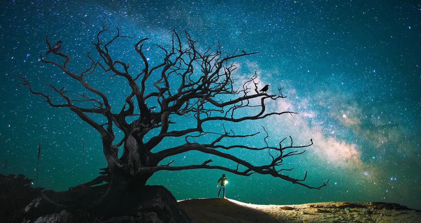 十二星座近期运势文案英文-56个星座详细介绍