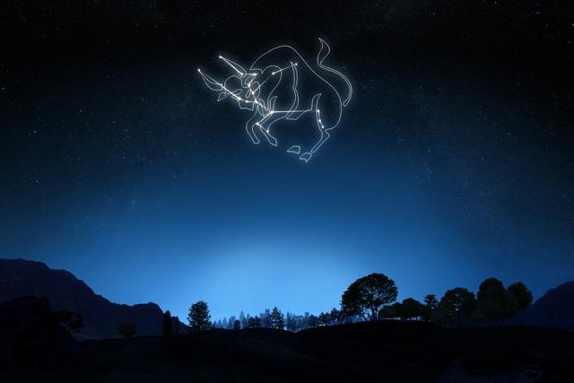 每个星座每天的运势表-日月升都在水象星座