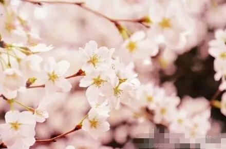 房子风水：房子毗邻学校的后果-军运村为什么会选择建在江夏