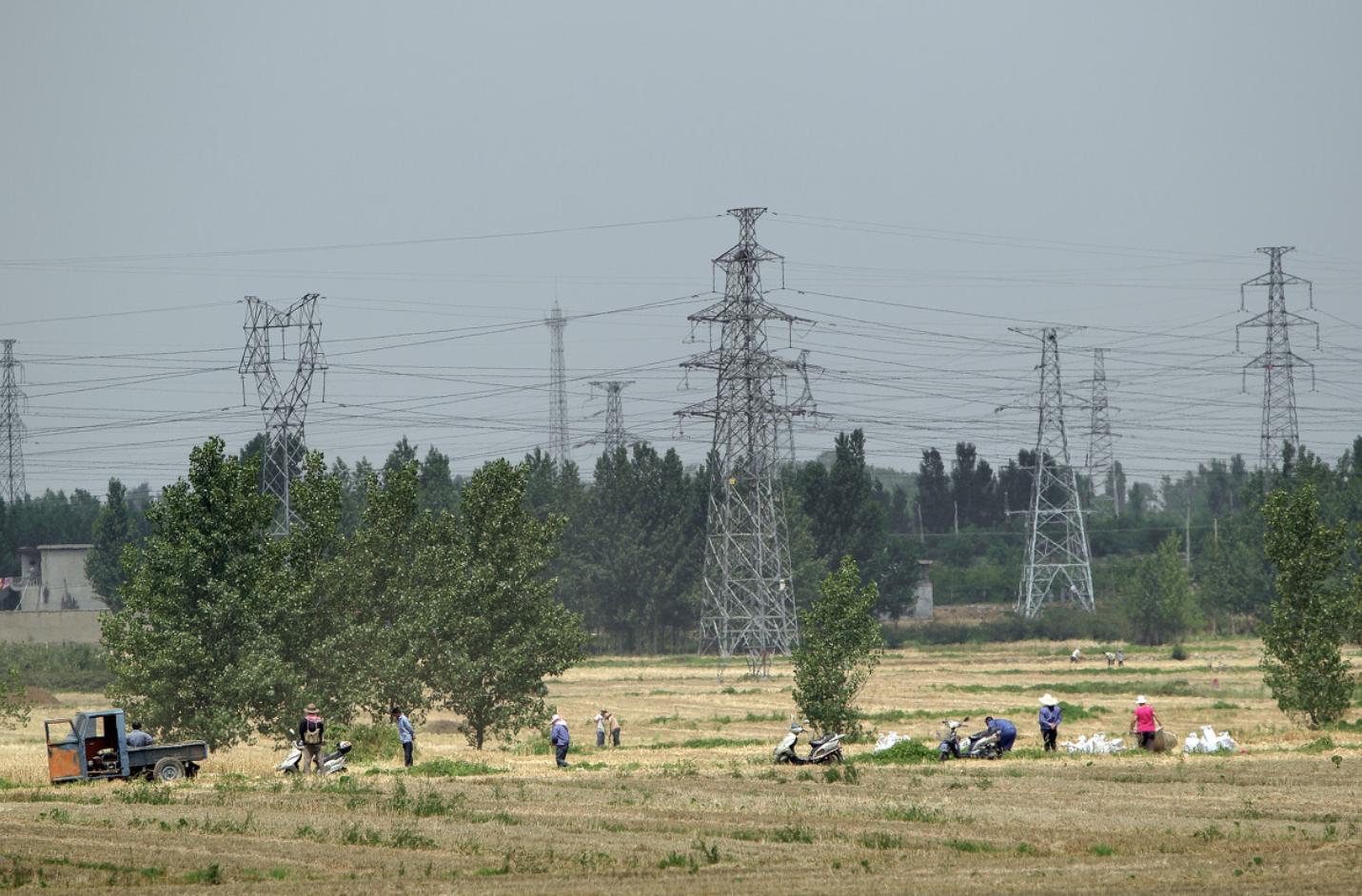 丁丑对应-26岁属相是什么
