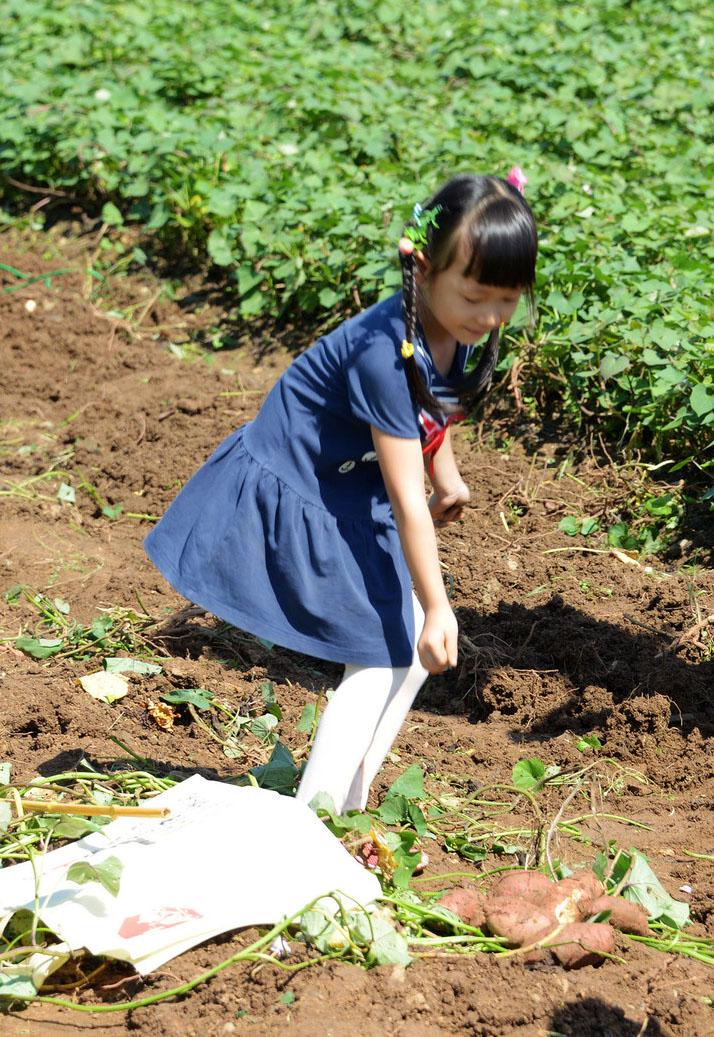 起名大全：姓田的女孩名字-姓田女孩小名叫甜甜意思