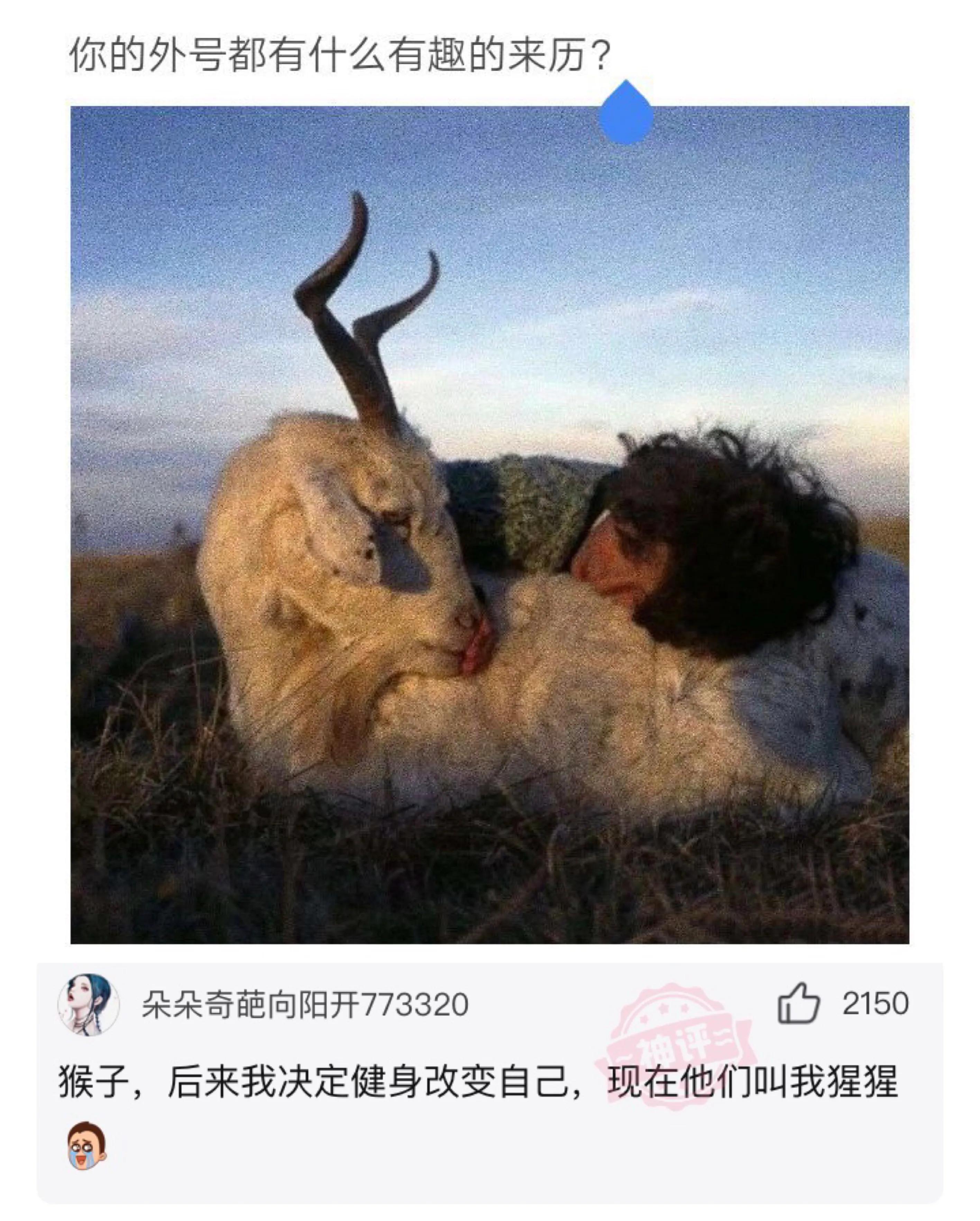 算命不如认命-我们该如何看待命运