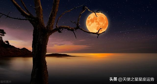 星座运势小分析软件可以推荐几款好用的软件吗