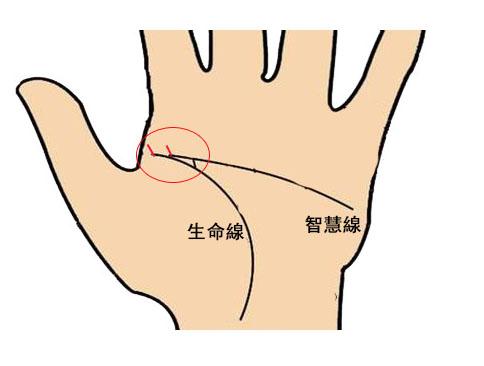 女生掌纹算命-什么是一字掌