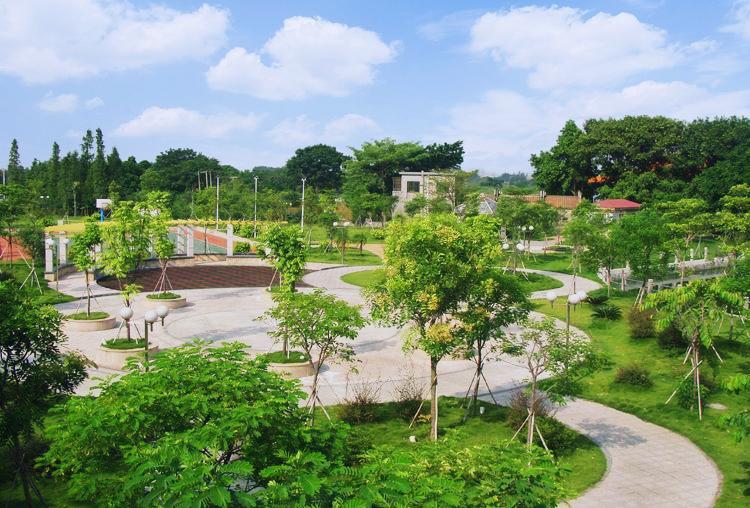 屋前种什么树最旺 从此走上人生巅峰-门前种九里香好吗