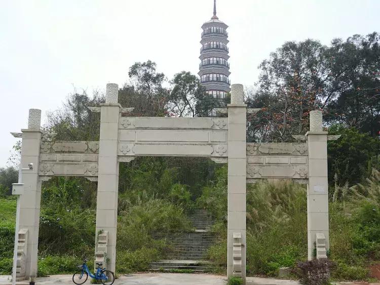 免费风水大师算命-杏旺人不旺有啥道理