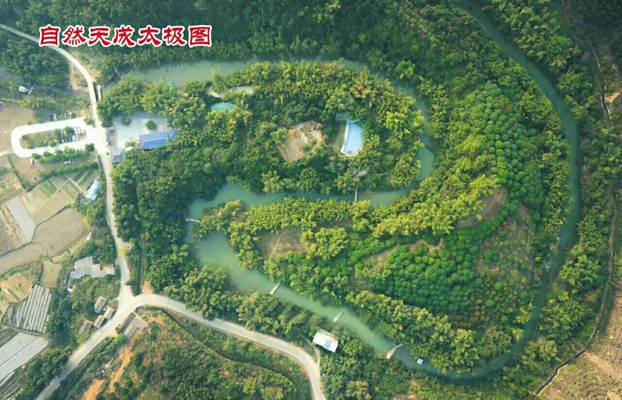 增加官运的植物 如何选择和摆放-福禄寿三选二你怎么选