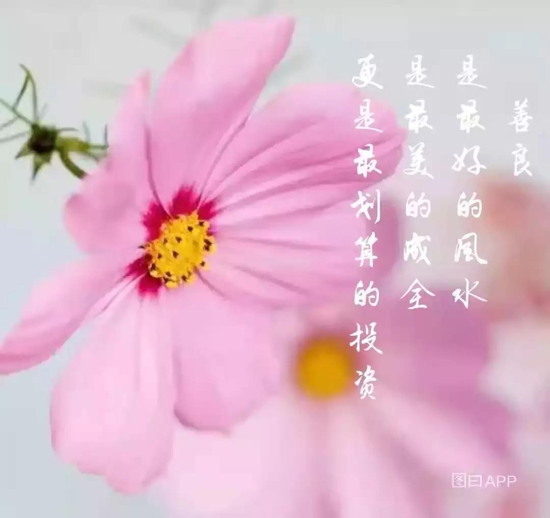 想要变得更加富有吗？这些風水妙招一定要掌握！-不是所有老赖都有钱不还