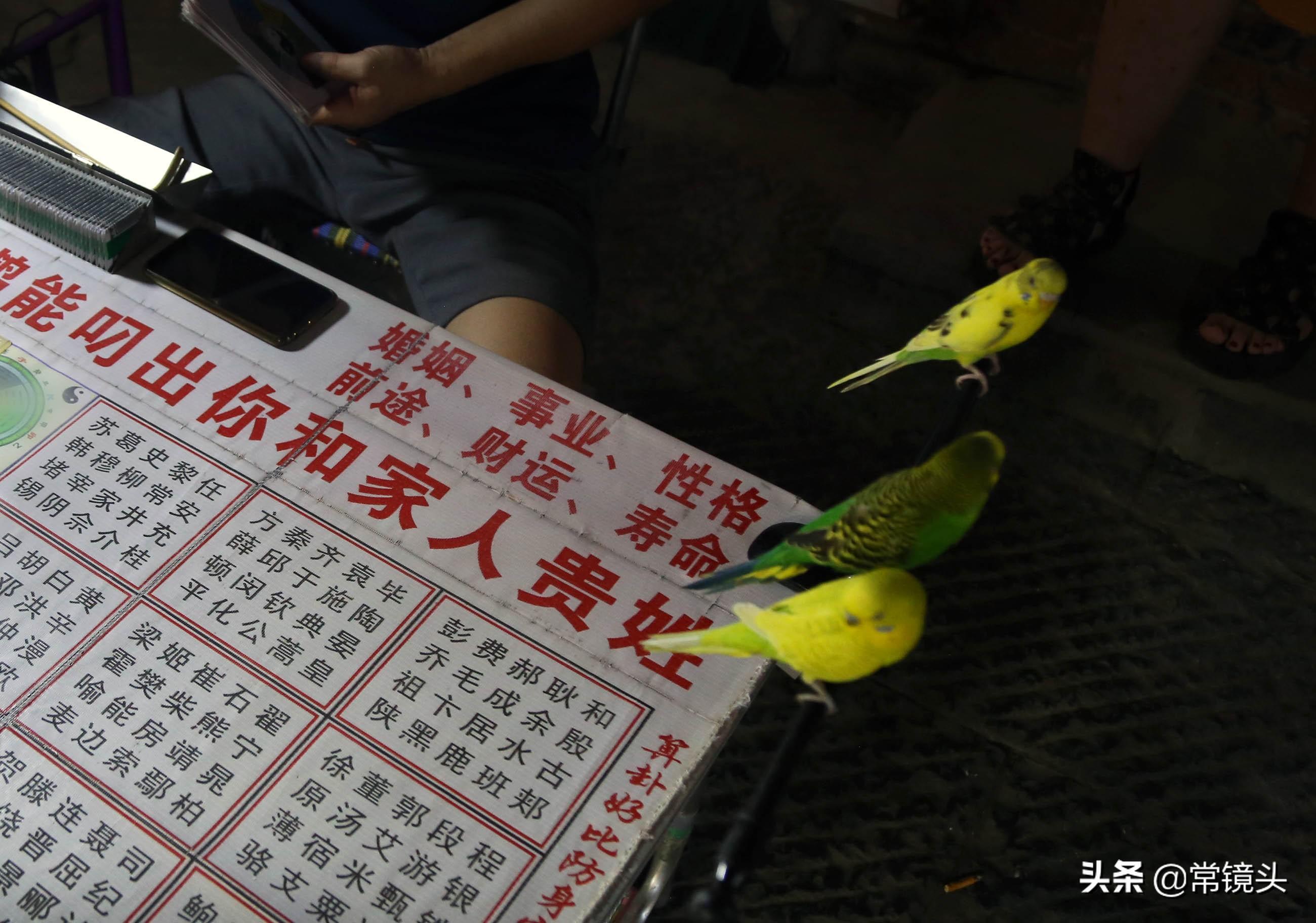 鹦鹉算命是怎么回事-求几个超搞笑的幽默笑话
