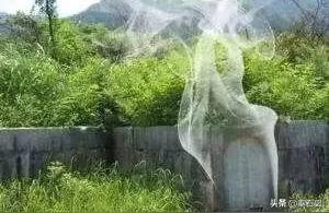 紫薇斗数看祖坟祖坟上冒青烟是好话还是坏话