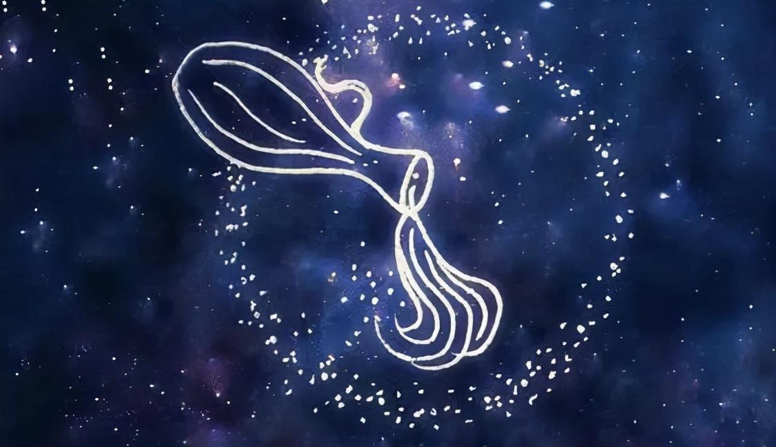 四月十四 星座运势-2004年农历十一月十四是什么星座