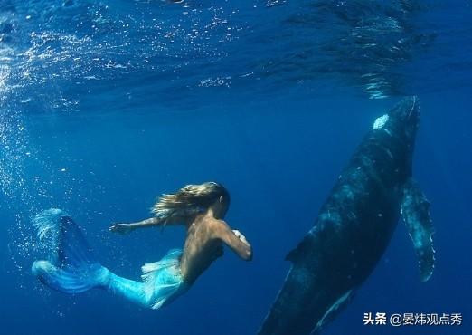 儒艮意思-古代鲛人是不是真的