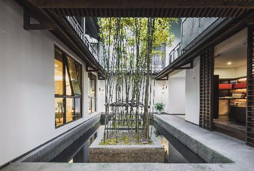 让心情好起来的家居风水-家里养仙人球好吗